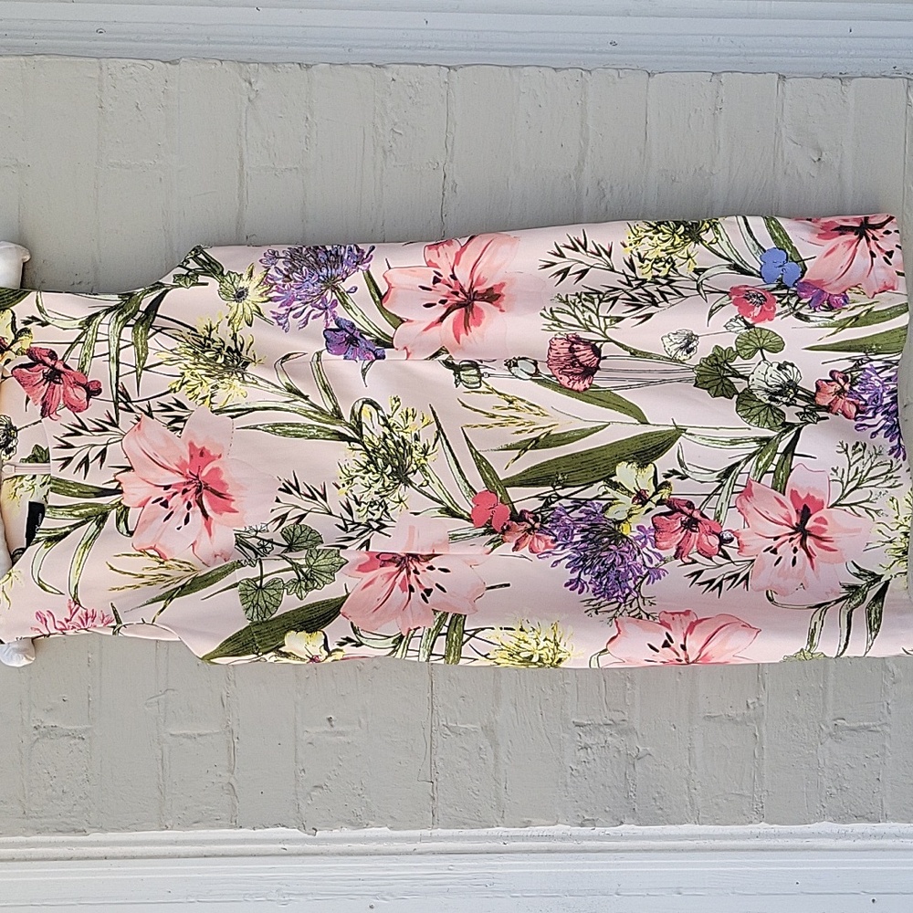 ALYX Petite Sleeveless Floral Dress Sz 12P Beautiful Condition